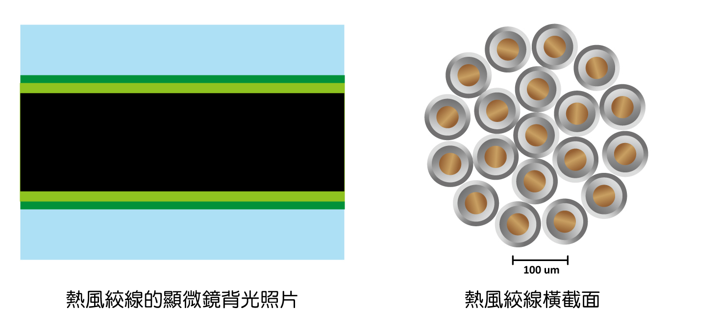 熱風絞線顯微鏡背光照 & 橫切面